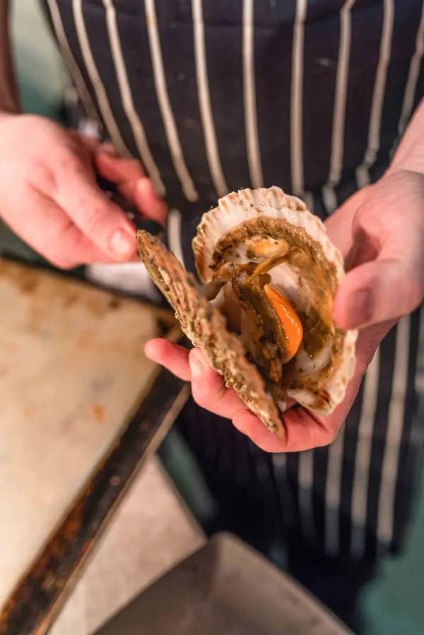 Chef opening a scallop 