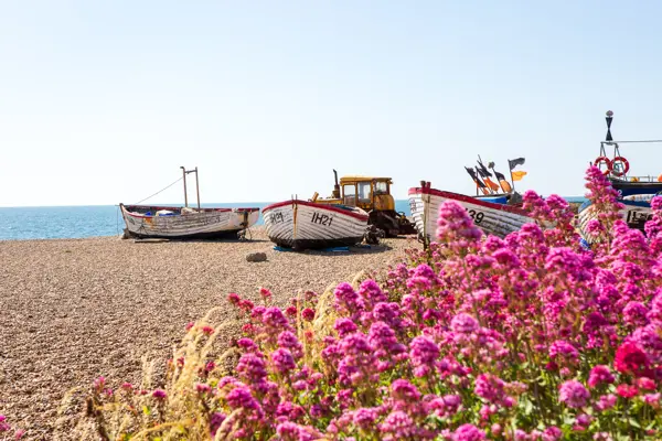 Boats and Flowers on Aldeburgh beach